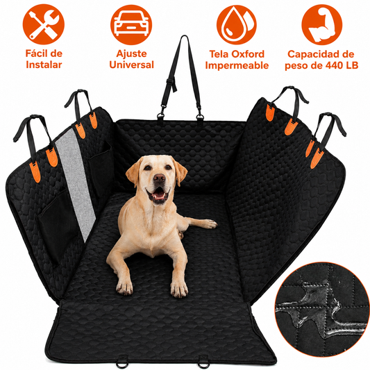 Cómo viajar con tu perro de forma segura en el coche | Guía completa 2026