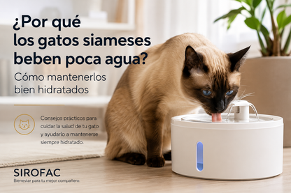 PureFlow Fuente de Agua Inteligente para Mascotas - Fuente con Filtro para Perros y Gatos